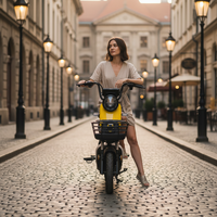 Moped électrique 500W à bas prix, prix CKD, qualité supérieure, scooter électrique à moteur de 10 pouces, motos électriques tout-terrain