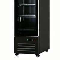 Réfrigérateur Vitré Commercial Slim pour Boissons Fraîches – Vitrine Réfrigérée Verticale Mini pour Supermarchés et Magasins