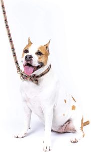 Conjunto de Correa y collar de perro con lazo de tartán escocés con pajarita desmontable para perros de niña o niño patrón de cuadros cómodo, completamente - Product Image 4