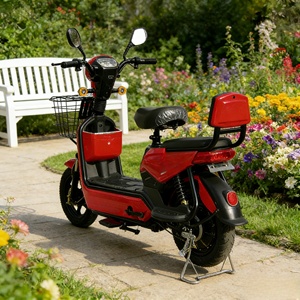 Potente Bicicleta Eléctrica de Alta Velocidad de 3 Velocidades para Adultos con Batería de Litio de Gran Capacidad, Motor de 1000W y Alcance de 60 km - Product Image 6