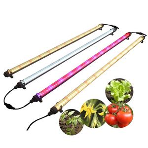 T12 18W 30W 40W 50W 60W 65W 75W 80W 85W 90W Tube lumineux LED à spectre réglable Micro-verts pour salle de culture - Product Image 1