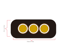 Câble de pompe submersible étanche en cuivre PVC 600V 2,5 mm 3 ou 4 conducteurs