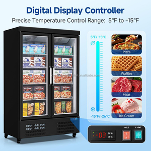 Congelador Vertical Refrigerado con Doble Puerta de Vidrio para Exhibición de Bebidas y Helados, Venta al Por Mayor - Product Image 4