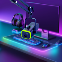 Microphone USB YU8 RGB Type-C XLR avec bras articulé réglable, condensateur, réduction de bruit ENC pour PC Gaming