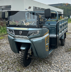 Triciclo a Benzina Economico e Durevole XW150ZH-24, Affidabile Veicolo a 3 Ruote per Logistica Rurale - Product Image 3