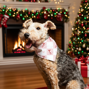Hochwertige Weihnachts ferien Hund Bandana Weihnachten Cane Pet Triangle Halstuch Schal - Product Image 2