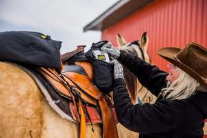 Muestra Gratuita de Bolsa de Silla de Montar Ecuestre Jiayuan Jodhpur con Diseño de Hombro Inclinado para Caballos - Product Image 5