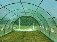 Tunnel commercial intérieur/extérieur Serre pour plantes d'intérieur