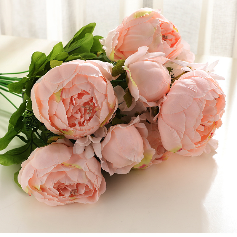Rosa carnoso primaverile