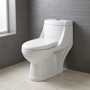 WC monobloc moderne en céramique à chasse d'eau par siphon, avec siphon en P et en S, à poser au sol - Product Image 4