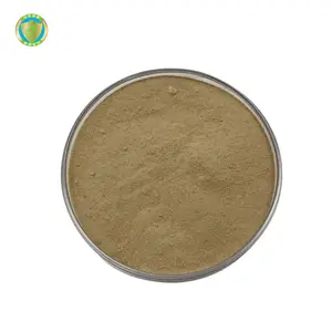 用于鱼塘处理的biofloc 10B CFU/g枯草芽孢杆菌益生菌批发补充剂