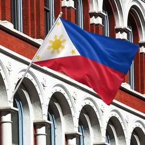 Drapeau de supporter personnalisé 3x5 de haute qualité, tous pays, y compris les Philippines, en tissu polyester et plastique – Prix usine pour l'automobile - Product Image 3