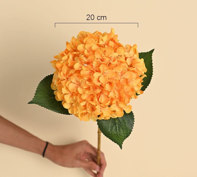 Arancione