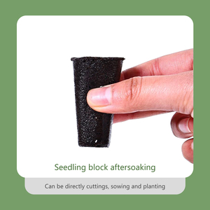 Pack <span class=keywords><strong>de</strong></span> pastilles <span class=keywords><strong>de</strong></span> coco <span class=keywords><strong>de</strong></span> tailles variées, non traitées, entièrement naturelles, pour semis <span class=keywords><strong>de</strong></span> concombres et <span class=keywords><strong>courgettes</strong></span>, substrat <span class=keywords><strong>de</strong></span> culture pour serre - Product Image 4