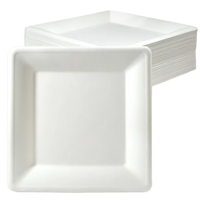 Assiette carrée en bagasse biodégradable, compatible micro-ondes, 6, 8, 10 pouces, vaisselle jetable en canne à sucre pour restaurant et barbecue, vente en gros