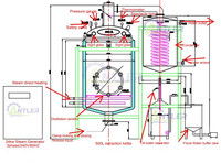 Machine de distillation d'extraction d'huile d'ail de gingembre de haute qualité Machine de traitement d'huile essentielle d'herbe
