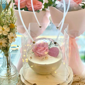 Boîte à gâteau de <span class=keywords><strong>boule</strong></span> de Mousse de Noël transparente emballage de Soufflé recyclable bol de noix de coco Portable pour boîte à emporter de salade de fruits Sushi - Product Image 5