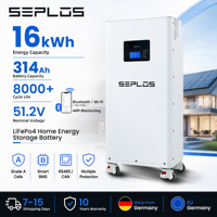 Système de stockage d'énergie domestique hybride Seplos pour Mason 280 48V LiFePO4 avec BMS intelligent, pack de batteries vertical séparé, alimentation de secours solaire