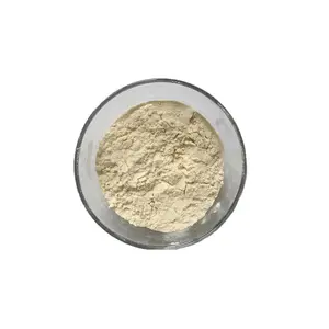 Soja-Proteinisoliertes Nahrungsergänzungsmittel nicht-GVO Soja-Proteinisoliertes Pulver