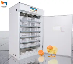 Máquina ovuladora para incubar pollos