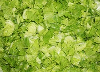 Cortadora de verduras de gran rendimiento, cortadora multifunción de repollo, lechuga, cortadora de frutas, trituradora