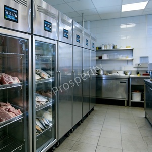 Armoire de décongélation automatique à air forcé en acier inoxydable, haute productivité, écologique, garantie <span class=keywords><strong>1</strong></span> an, pour fruits de mer et boucherie - Product Image 4