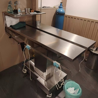 Table chirurgicale vétérinaire électrique professionnelle en acier inoxydable 304 certifiée CE ISO par Jining Herta, certifiée ISO13485 Classe II pour