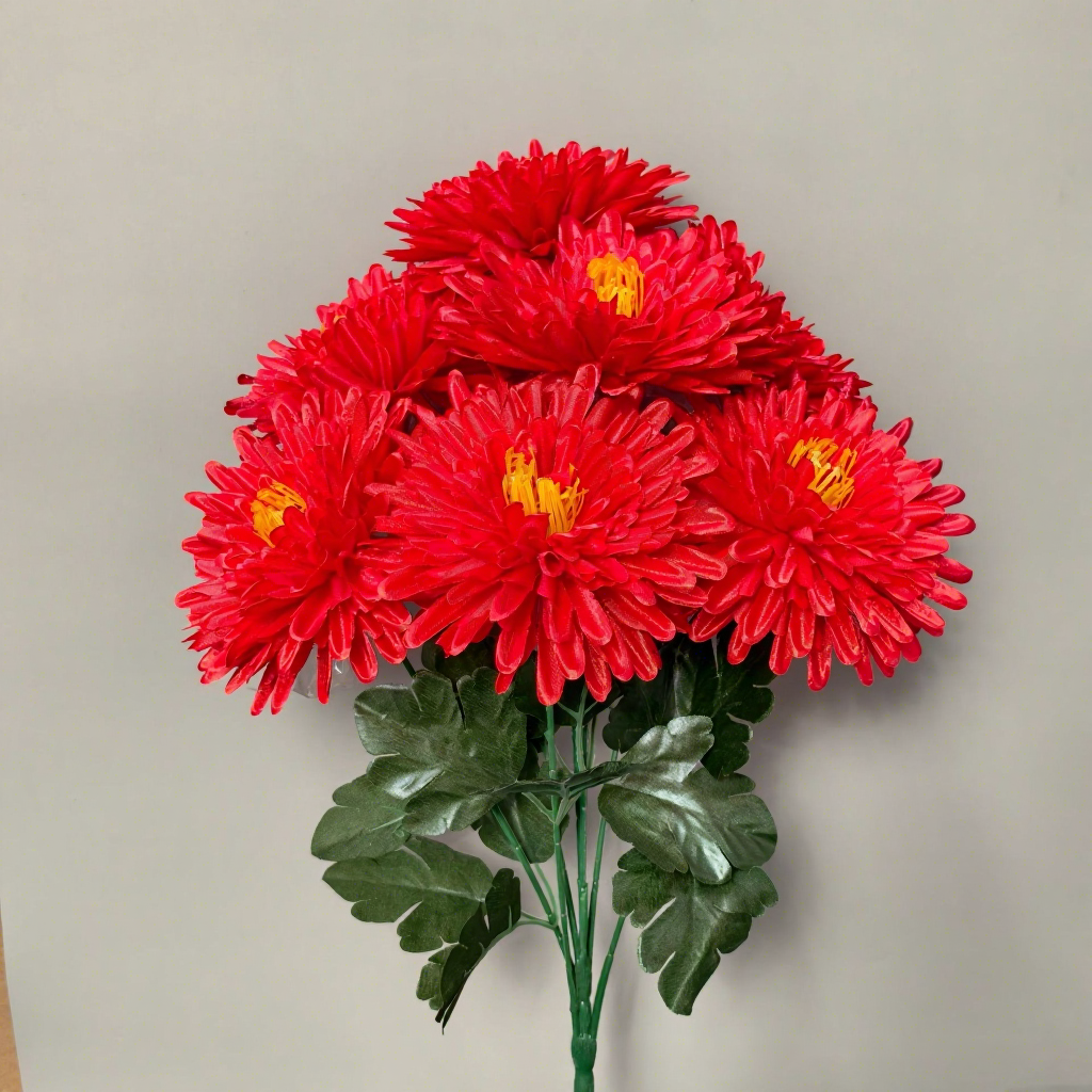 Chrysanthème à aiguilles rouges