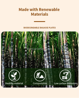 Assiettes jetables en bagasse 100 % compostables, robustes, rondes, à 3 compartiments, écologiques, de 10 pouces, pour les fêtes