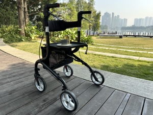 Déambulateur <span class=keywords><strong>pliable</strong></span> à 4 roues en aluminium pour adultes, fabrication OEM, usage intérieur/extérieur, vente en gros, TRA38 - Product Image 5