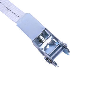 Cinghia di Fissaggio Mini da 1 Pollice con Gancio a Doppia J, Alta Resistenza in Poliestere, Certificata CE - Product Image 3