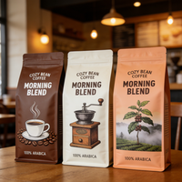 Sachets refermables personnalisés à faible MOQ avec impression, sacs à fermeture éclair avec lignes de déchirement pour 250g 500g de grains de café