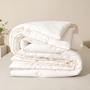 Modern King-Size Hotel <strong>Double</strong> <strong>Bed</strong> <strong>Duvet</strong> Insert Winter Quilt Soft Inner for Home Use Cotton - Product Image 6