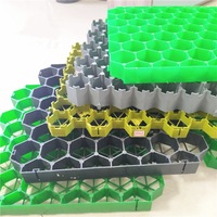 Sol en plastique emboîté en polyester à grille pour parking Noble Community Roof Garden HDPE Grass Paver