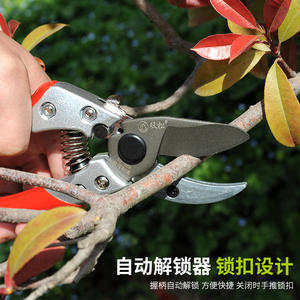 Sécateur de jardin Double Star en acier inoxydable SS-808, outil de taille pour branches de 20-30 mm, poignée rouge - Product Image 3