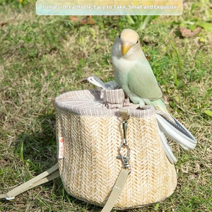 Küçük <span class=keywords><strong>Pet</strong></span> açık seyahat çantası malzemeleri Hamster gine domuz sırt çantası taşınabilir silindir sıcak uçan sincap-nefes rahat - Product Image 2