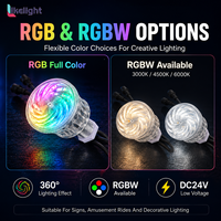 Lumière à pixels cabochon RGBW 60 mm 360 degrés DC24V UCS2904 DMX512, clarté cristalline, pour éclairage de manèges de parcs d'attractions
