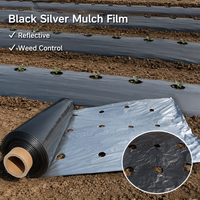 Film de paillage biodégradable en LDPE noir argenté haute résistance de 20 microns, personnalisable, stabilisé aux UV, pour la découpe