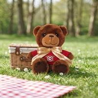 Ours en peluche personnalisé de 20 cm en polyester, figurine de marionnette avec chemise rouge et rembourrage en coton PP