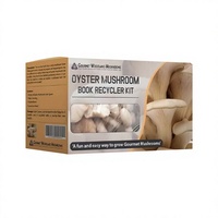 Boîte d'emballage alimentaire personnalisée en carton ondulé biodégradable et recyclable pour fruits et champignons, avec pelliculage mat et gaufrage