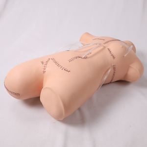 DARHMMY PVC Model pengajaran medis, manekin Bedah jahitan dan pembebat untuk sains medis - Product Image 4