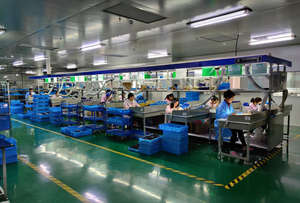 22401-1HC1B หัวเทียนอิริเดียม REA12WMB4คุณภาพสูงสำหรับนิสสันคาชไคเรโนลต์คลิโอ - Product Image 4