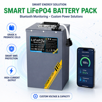 Batterie LiFePO4 48V 100Ah avec BMS intelligent, remplacement de batterie au plomb-acide, batterie lithium pour moto électrique, scooter