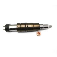 Common Rail Fuel Injector Assembly 2419679 Truck Engine Parts