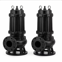 Pompe submersible anti-colmatage série WQ, pompe électrique submersible en fonte pour eaux usées, pour le rejet des eaux usées, OEM