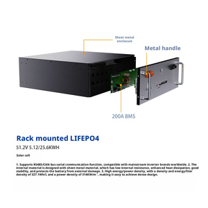 साइनसोसन लाइफ 4 24 वी/48v 100-300h 15.36kwh बिजली रैक-घुड़सवार लिथियम बैटरी सौर ऊर्जा भंडारण प्रणाली 6000 चक्र 5-वर्ष - Product Image 2