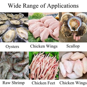 Mesin penyortir berat makanan laut kapasitas besar/mesin penyortir udang/penyortir ikan - Product Image 3