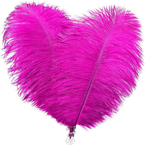 <span class=keywords><strong>Fucsia</strong></span> 2 pezzi Polobag <span class=keywords><strong>piume</strong></span> di struzzo per festa di carnevale casa matrimonio centrotavola vaso natale decorazioni fai da te artigianato floreale - Product Image 1