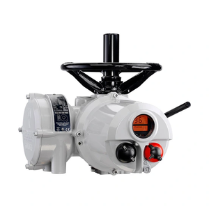 Prix Spécial - Série d'actionneurs multi-tours ROTORK IQ2/IQM2 - Tension DC/AC - Garantie 1 an - Product Image 1