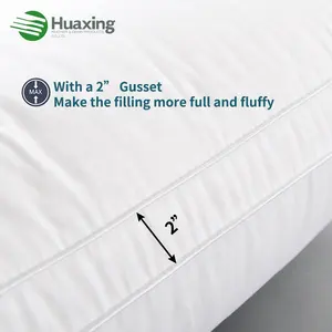 Buon letto che dorme cuscini per hotel a 5 stelle qualità 48x74cm 1000g Hilton morbido cuscino soffice in microfibra con borsa per il trasporto individuale